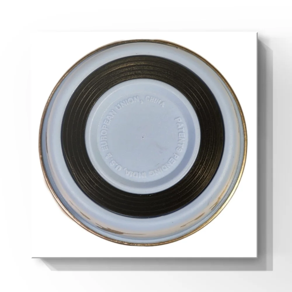 Stainless Steel Cat Feeding Bowl